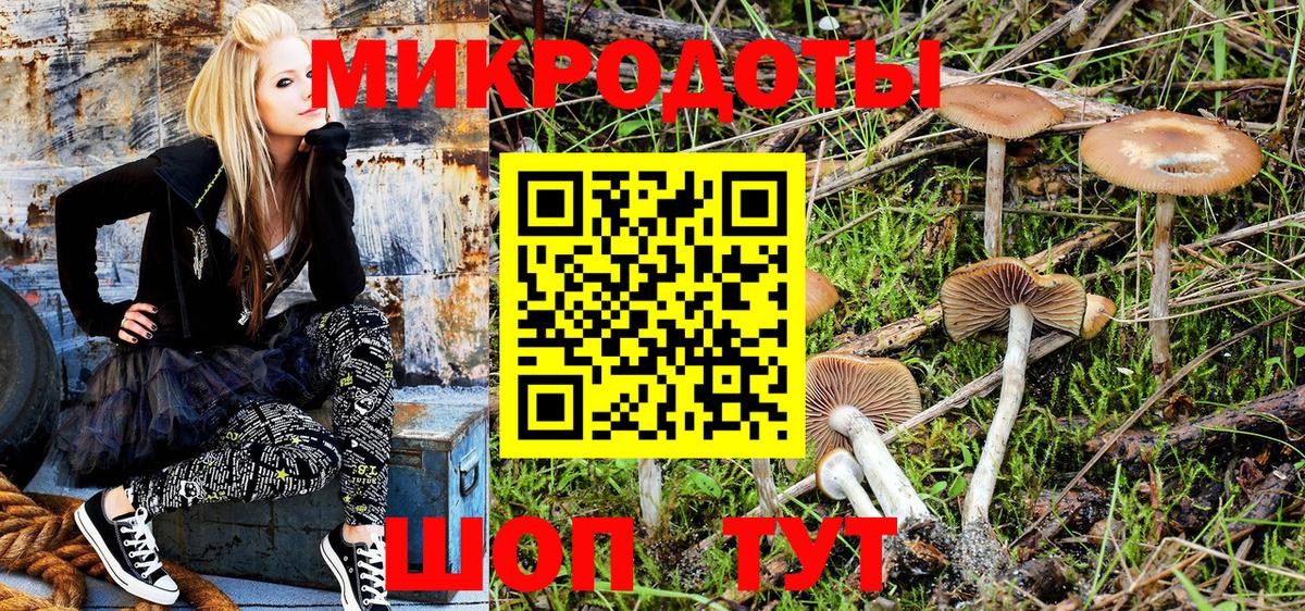 Псилоцибиновые грибы MAGIC MUSHROOMS Кириши